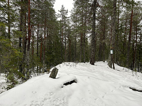 Fiskeløysåsen i Lunner.