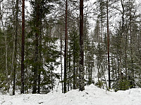 ØyvindBergkvam_20230113_63c12c8c6c309.jpg
