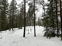 ØyvindBergkvam_20230113_63c12c8e666de.jpg