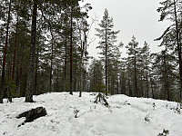 ØyvindBergkvam_20230113_63c12c9027c70.jpg