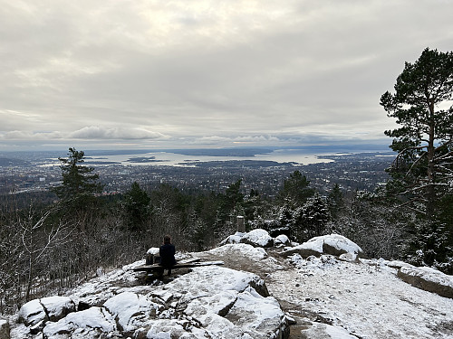 Fantastisk utsikt mot Oslo og indre Oslofjord fra ryggen sør på Vettakollen