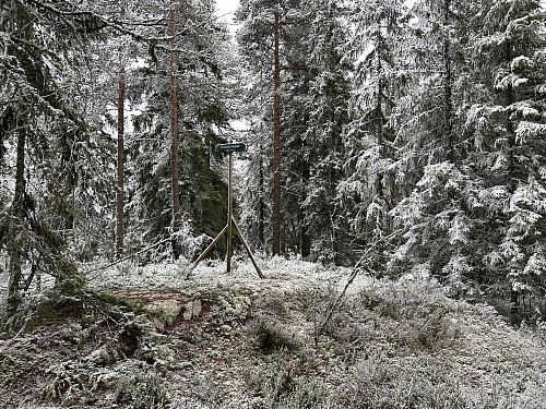 Råsåkhøgda toppunkt