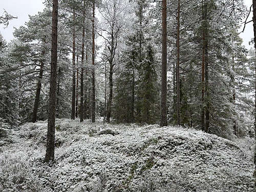 Kinnåsen Vest