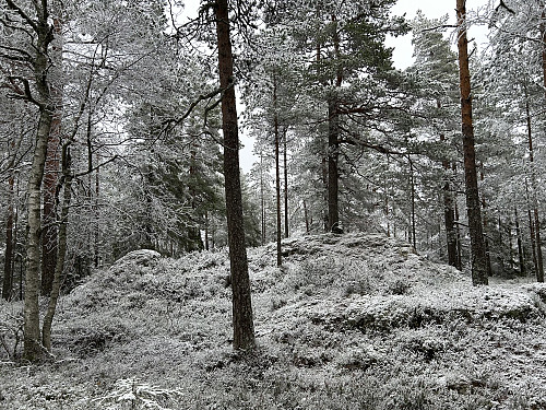 Kinnåsen i Lillestrøm