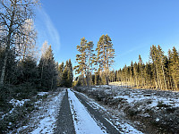 ØyvindBergkvam_20230202_63db779a91f42.jpg