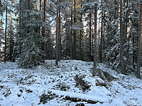 ØyvindBergkvam_20230202_63db779f275c8.jpg