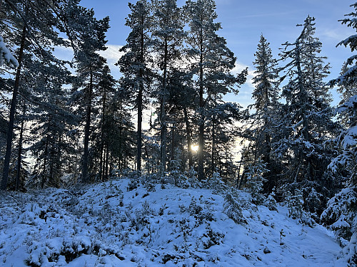 Hanatjennberget sørtoppen