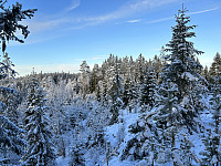 ØyvindBergkvam_20230202_63db77a22cf31.jpg