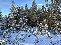 ØyvindBergkvam_20230202_63db77a385e58.jpg