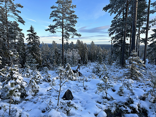 Utsikt fra Hanatjennberget SØ
