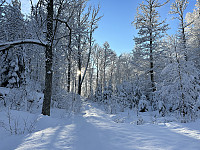 ØyvindBergkvam_20230227_63fca42172fa6.jpg