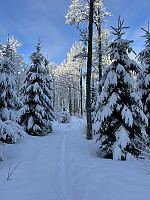 ØyvindBergkvam_20230227_63fca423091c7.jpg