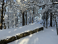 ØyvindBergkvam_20230227_63fca42463843.jpg