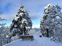 ØyvindBergkvam_20230227_63fca4271e7e9.jpg