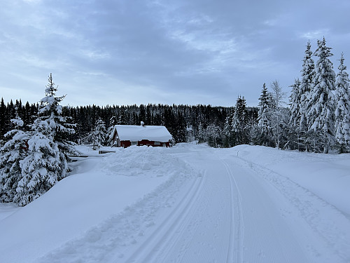 Noen hundre meter innenfor rasteplassen startet skiløypene. Disse kunne jeg følge frem til Elkensætra.