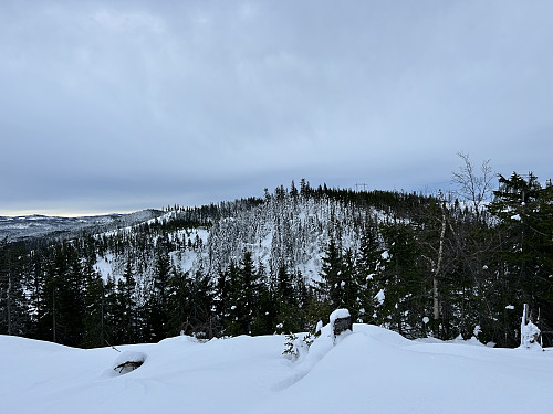Høgkorset sett fra Elkensæterhøgda i Gran