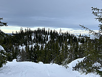 ØyvindBergkvam_20230228_63fe1a5816d1d.jpg