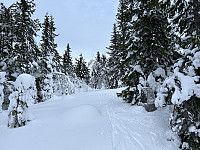 ØyvindBergkvam_20230228_63fe1a59db50a.jpg