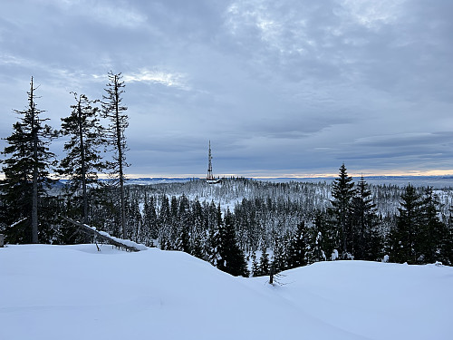Høgkorset radiolink sett fra Høgkorset.