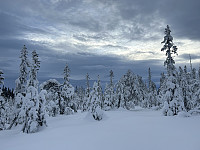 ØyvindBergkvam_20230228_63fe1a5cc4b23.jpg