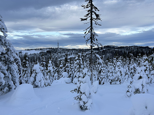 Utsikt fra Kambohøgda mot Høgkorset radiolink og Høgkorset til høyre
