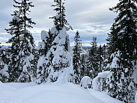 ØyvindBergkvam_20230228_63fe1a5edf09c.jpg