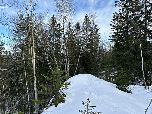 Buåsen i Rælingen 378 moh