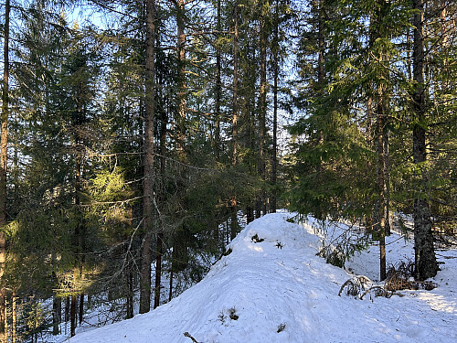 Maråsen i Rælingen