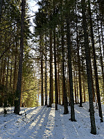 ØyvindBergkvam_20230228_63fe3ef740eae.jpg