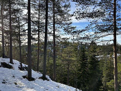 PÅ vei opp mot Skolemesteren med flott utsikt mot Skarpdunderen