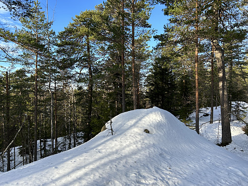 Skolemesteren i Lørenskog