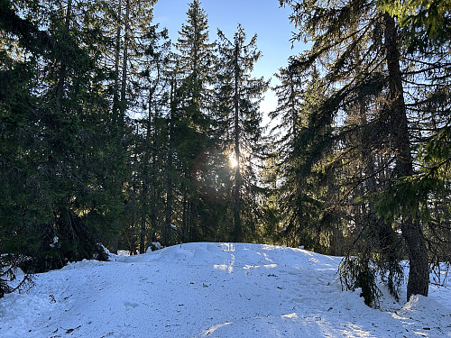 Sveltåsen i Bærum