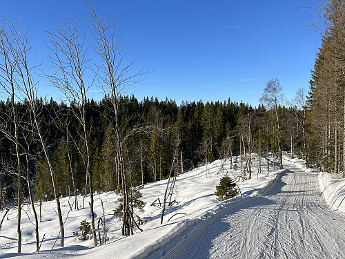 Utsikt mot Sveltåsen fra Ringivollen