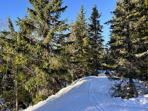 Ringvollåsen fremsto egentlig bare som en liten kolle midt i skogen