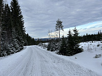 ØyvindBergkvam_20230307_64079eb7d24b6.jpg