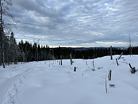 ØyvindBergkvam_20230307_64079eba3a66b.jpg