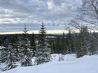 ØyvindBergkvam_20230307_64079ebded66b.jpg
