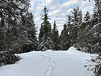 ØyvindBergkvam_20230307_64079ec302d46.jpg