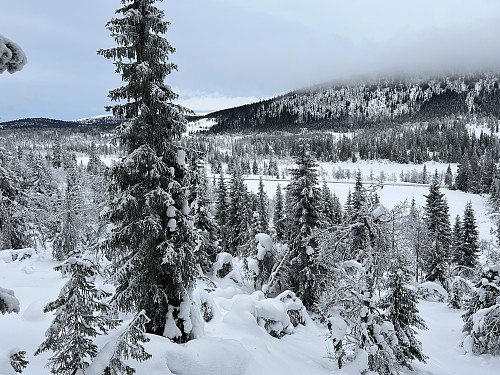 På vei opp gjennom skogen. Nedenfor ses Tronsjøen like bak riksveien.
