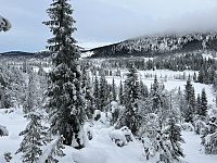 ØyvindBergkvam_20230316_6412c77d054aa.jpg