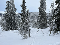 ØyvindBergkvam_20230316_6412c77e5747d.jpg