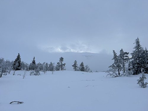 Fra skaret mellom topp 862 og Kalven fikk jeg første og siste glimt til Tronsfjellet før tåka og vinden overtok.