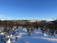 ØyvindBergkvam_20230316_6412d22ed3ed3.jpg