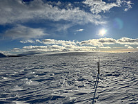 ØyvindBergkvam_20230316_6412d23393248.jpg