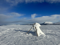 ØyvindBergkvam_20230316_6412d23581110.jpg