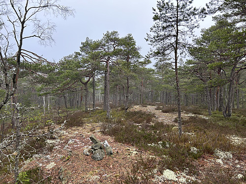 Horntjernåsen 232 moh i Rakkestad