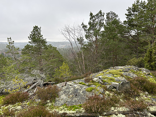 Utsikt sørover mot Sverige fra østtoppen. Gamle Svinesundbrua skimtes til venstre for midten av bildet.