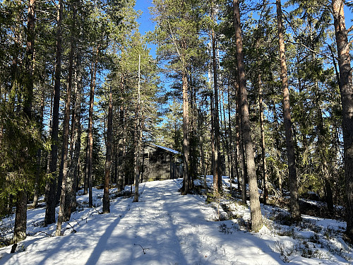 Bjørnholen i Lillestrøm