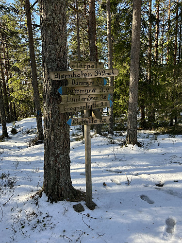 Bjørnholen i Lillestrøm