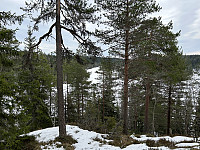 ØyvindBergkvam_20230410_6433c842f11cf.jpg